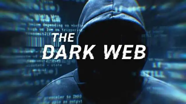 nexus darknet nexus darkweb - about company